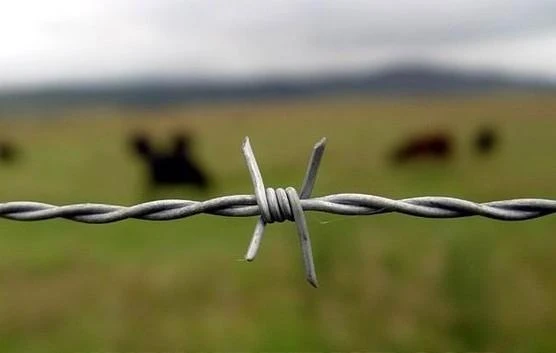 25KG Hot-Dipped Galvanized or PVC Coated Barbed wire fence with Customizable specification