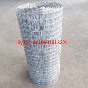 25x25 hot dipped galvanized welded wire mesh  roll 0.5m width for plaster stucco mesh