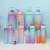 Import 3 Pcs In 1 Set 2l Direct Drinking Plastic Sport Bpa Free Gym Fitness Motivational gym Water Bottles With Straw And Handgrip from China