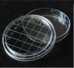 30mm 35mm 50mm 60mm 70mm 90mm 100mm 120mm 150mm plastic petri dish culture dish culture plate
