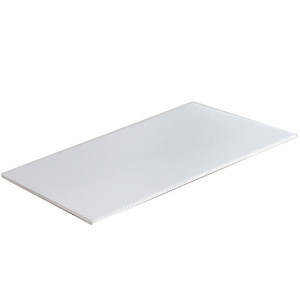 4Mm White Pp Hollow Corrugated Plastic Board PP Sheet