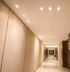 5W 7W 8W 10W Hotel Adjustable COB LED Downlight