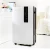 Import 60L/D Home Dehumidifier with Low Price from China