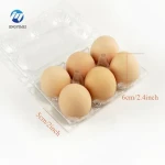 6/8/12/10/30 Pcs Wholesale Plastic Egg Trays Blister Disposable Recycled Transparent PET Plastic Egg For Farm Chicken Egg Tray