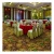 Import 80% Wool and 20% Nylon  Axminster carpet meeting room carpet from China