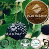 Adaptogenic herb plant extract herbal extract Eleutheroside B+E Siberian Ginseng Extract