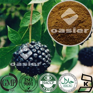 Adaptogenic herb plant extract herbal extract Eleutheroside B+E Siberian Ginseng Extract