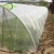 Import agricultural plastic products garden vegetable protection white PE insect screen bug net / vineyard insect netting for grape from China