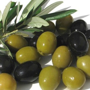 Agriculture Organic Fresh Olive for Sale, Green olive/black olive/ brown and yellow olive