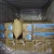 Import air dunnage bag to prevent the collapse of the goods inside the container from China