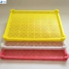 all kind color OEM customized plastic tray for vegetable and fruit