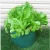 Import Amazon Hot selling PE Fabric Grow Bags/Garden Felt Grow Bags/Planting Grow Bags from China