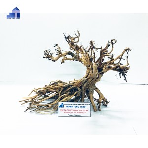 Aquarium Decorative Driftwood Bonsai At Lowest Price  WhatsApp +84 963 949 178