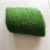 Import artificial grass north facing garden from China