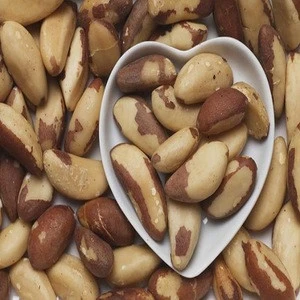 Asian 100% Best Quality Grade A Brazil nut wholesale