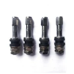 Auto Compressor Control Valve Type 48E tire valve stem