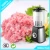 Import baby processor mini food mixer beauty multifunction blender from China