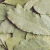 Import Bay Leaves Supplier Spices and Herbs from China