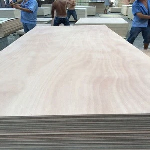 BB/CC grade red cedar/okoume/bintnagor big size plywood