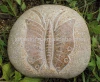 Beautiful round shape betterfly stone craft