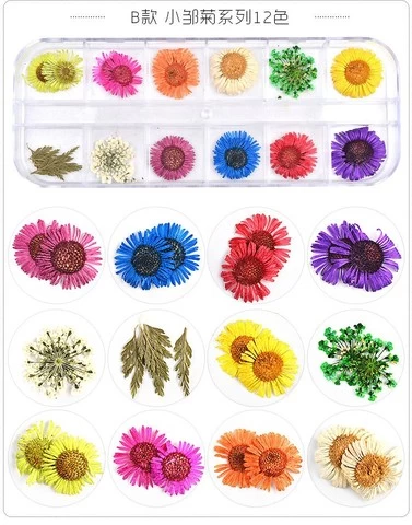 Beautiful small Dried Flowers Nail Art Little Pressed Real Natural Flower Nail Art Design Decoration Supplies