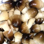 Best canned food market straw mushrooms