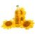 Import Organic Refined High Quality Pure Sunflower Oil in Wholesale Price from Ukraine