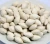 Import best quality ropasted ginkgo nuts for sale from United Kingdom