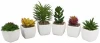 Best Quality Set of 6 Artificial Mini Succulent Potted Plant in Ceramic White Flower Pot Planter