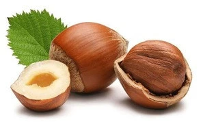 Best Quality suppliers Hazelnut kernels/Hazelnut For Sale