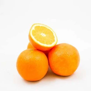 best selling Fresh Citrus Fruits, Valencia and Navel Orange for sale