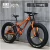 Bicycle manufacturers make fat tire bicycles, fat bicycles, snowmobiles