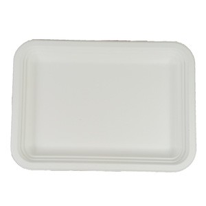 big tray unbleached  biodegradable sugar cane Bagasse disposable plant fiber meat tray