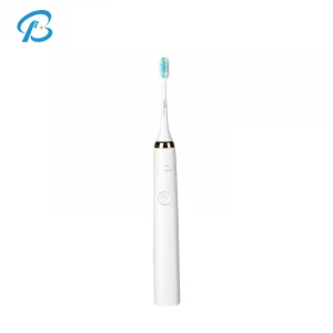 Biodegradable electric toothbrush heads/battery powered toothbrush heads