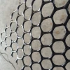 Black hexagonal poultry mesh/extruded plastic mesh