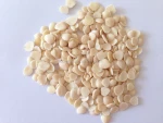blanched apricot kerenels(almond) flakes in china