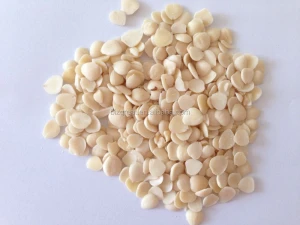 blanched apricot kerenels(almond) flakes in china