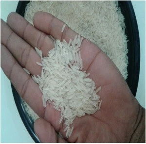 Broken Long Grain white rice Stock available for serving you now product of Spain.