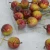 Import BSCI wholesale artificial plastic crafts decorative fake fruits from China