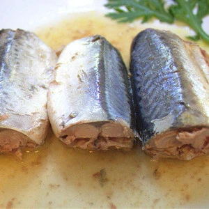 Canned Jack Mackerel fish to Chile
