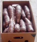 Cassava (Yuca)
