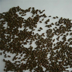 cassia seed/Semen Cassiae/Cassia tora Cassia obtusifolia/Traditional Chinese Medicine herb seed juemingzi