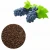 Import Characterized By Anti-oxidant and Activity Organic USP Pharmacopoeia Powder Grape Seed Extract from China