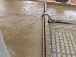 Cheap Cow Manure Scrapers for Short Distance Barns