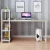 Import cheap modern office furniture office desk with 4 Tiers Bookshelf for Home Office Studying Living Room from China
