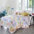 Import cheap wholesale printed color patchwork quilt from China