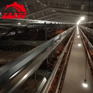 chicken cages layer 128 poultry farming chicken cage for Africa