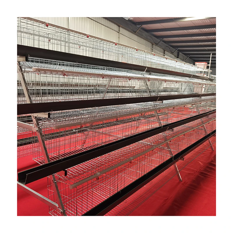 Chicken layer chicken battery cages farm  equipment  laying hens Poultry Cage