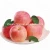 Import China fresh gala fruit apple exporter from China