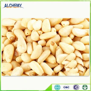 China pine nuts suppliers looking for distributors